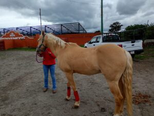 IMG-20250625-WA0051