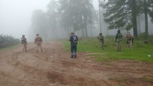IMG-20250709-WA0047