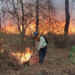 REFUERZA TLAXCALA PREVENCIÓN DE INCENDIOS FORESTALES PARA PROTEGER COMUNIDADES Y ECOSISTEMAS