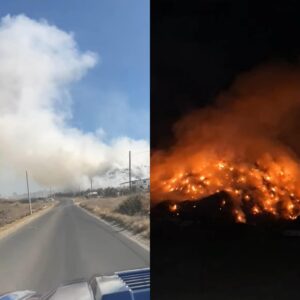 FB_IMG_1772040261592