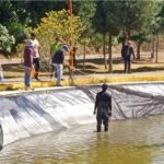 UNIVERSIDAD POLITÉCNICA FORTALECE INNOVACIÓN ACUÍCOLA CON PROYECTO DE TILAPIA