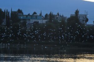 IMG-20260803-WA0161