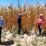 GOBIERNO ESTATAL MANTIENE ATENCIÓN A PRODUCTORES AFECTADOS POR SEQUÍA